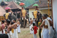 thalapolli.jpg